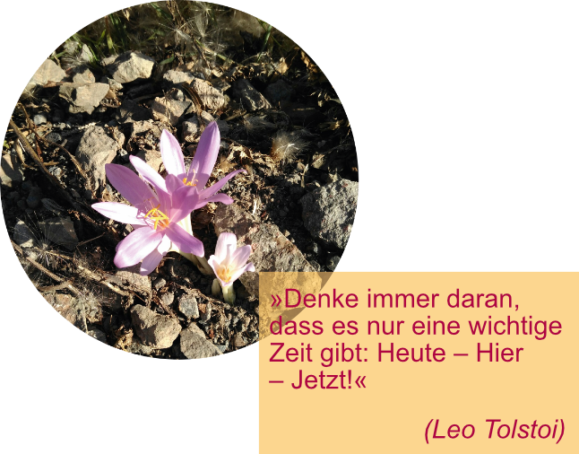 Blume mit Spruch